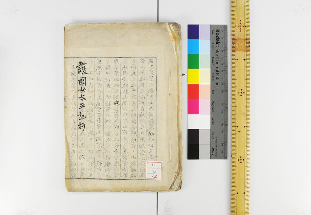 _护国女太平记__