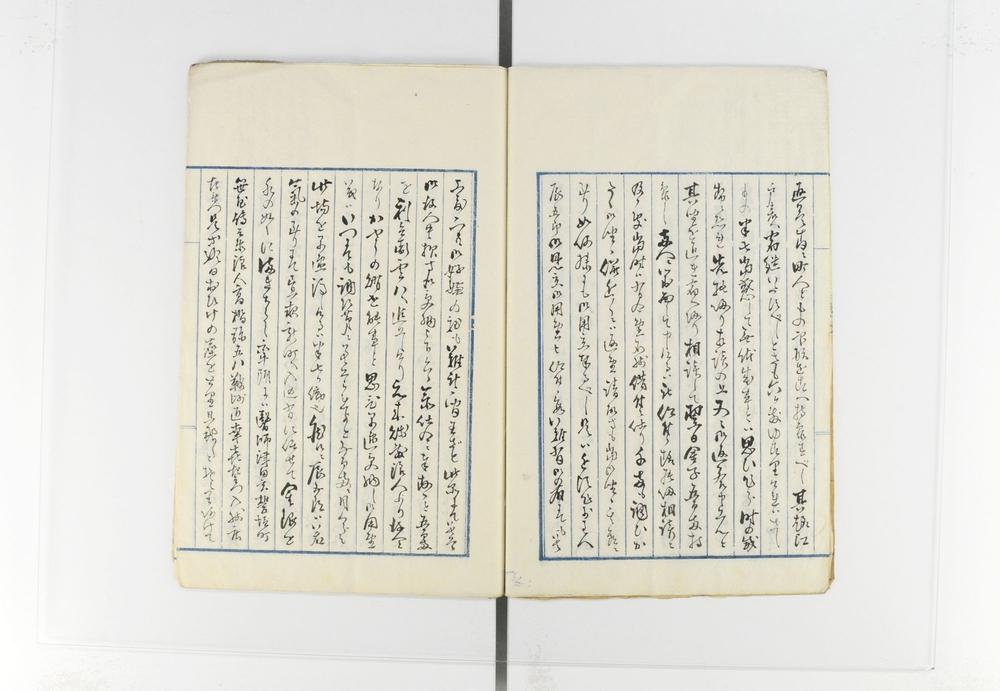 _护国女太平记__