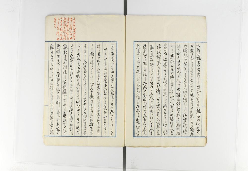 _护国女太平记__