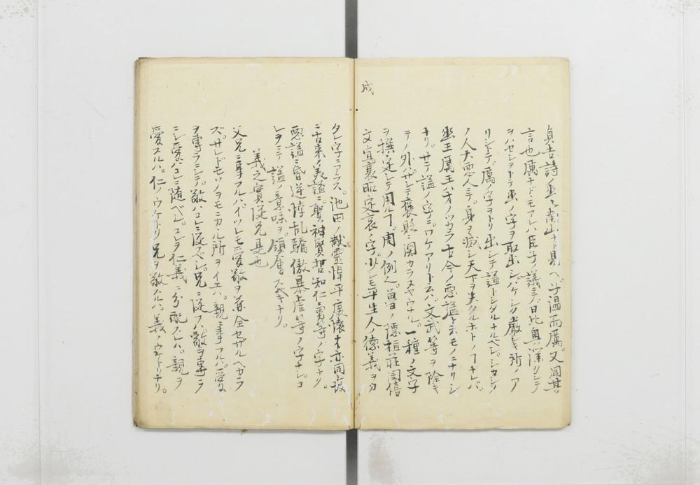 _谍翁先生诸说__