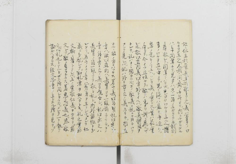 _谍翁先生诸说__