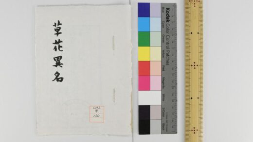 1134 草花异名 0621205046 1.jpg