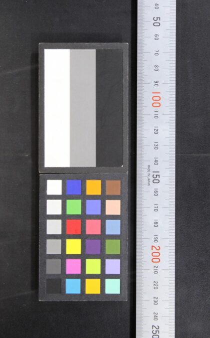 1443 故巴尔托尔德先生 0621210513 1.jpg