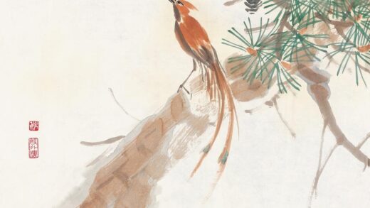 152 陈树人寿带青松斗方.jpg