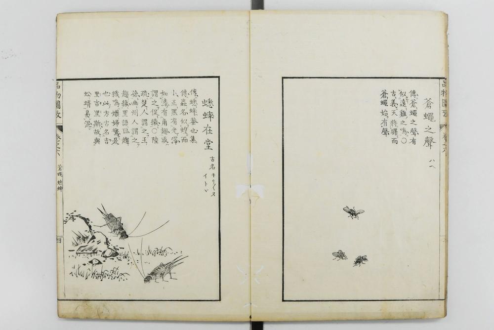 _毛诗品物图考__