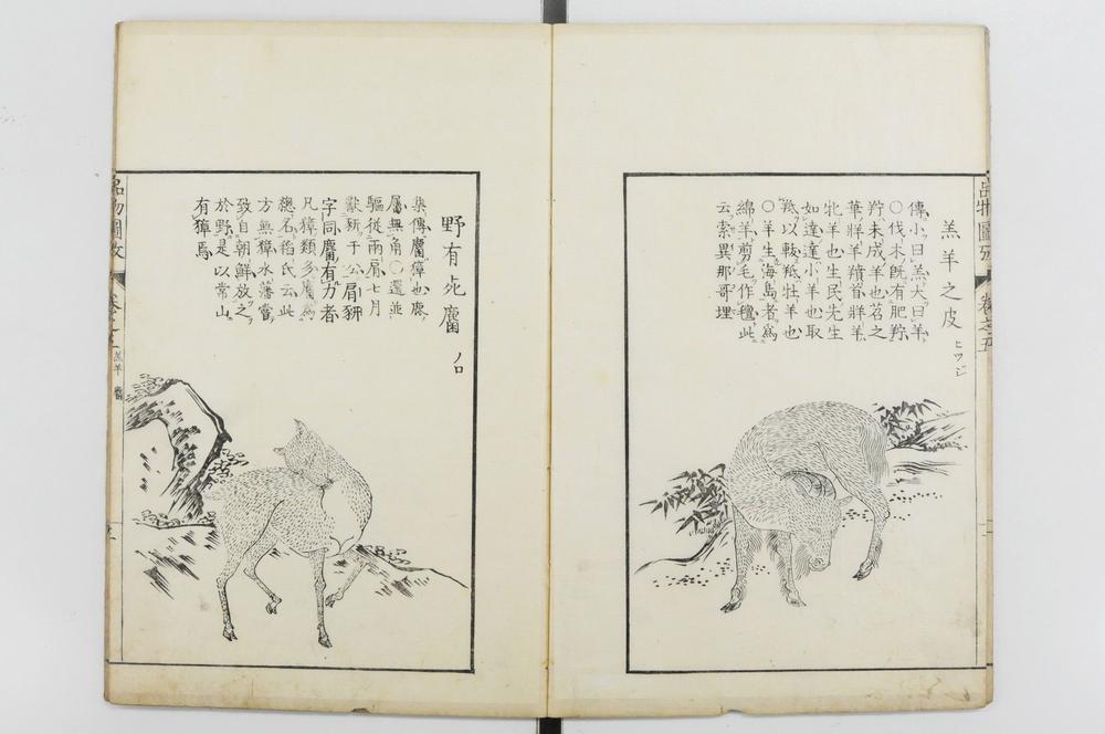 _毛诗品物图考__