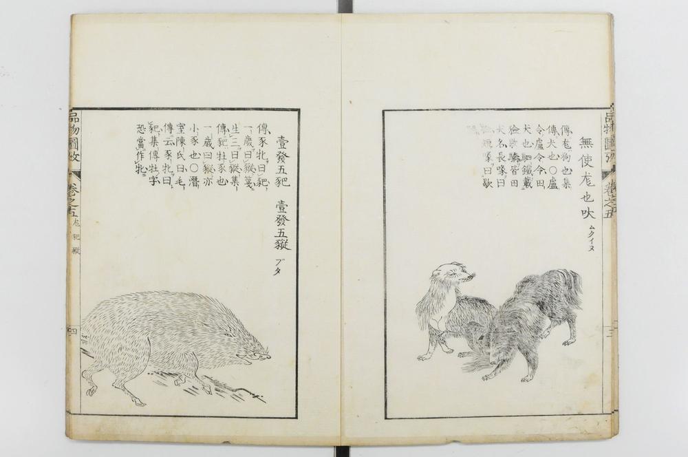 _毛诗品物图考__