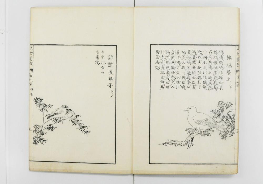 _毛诗品物图考__