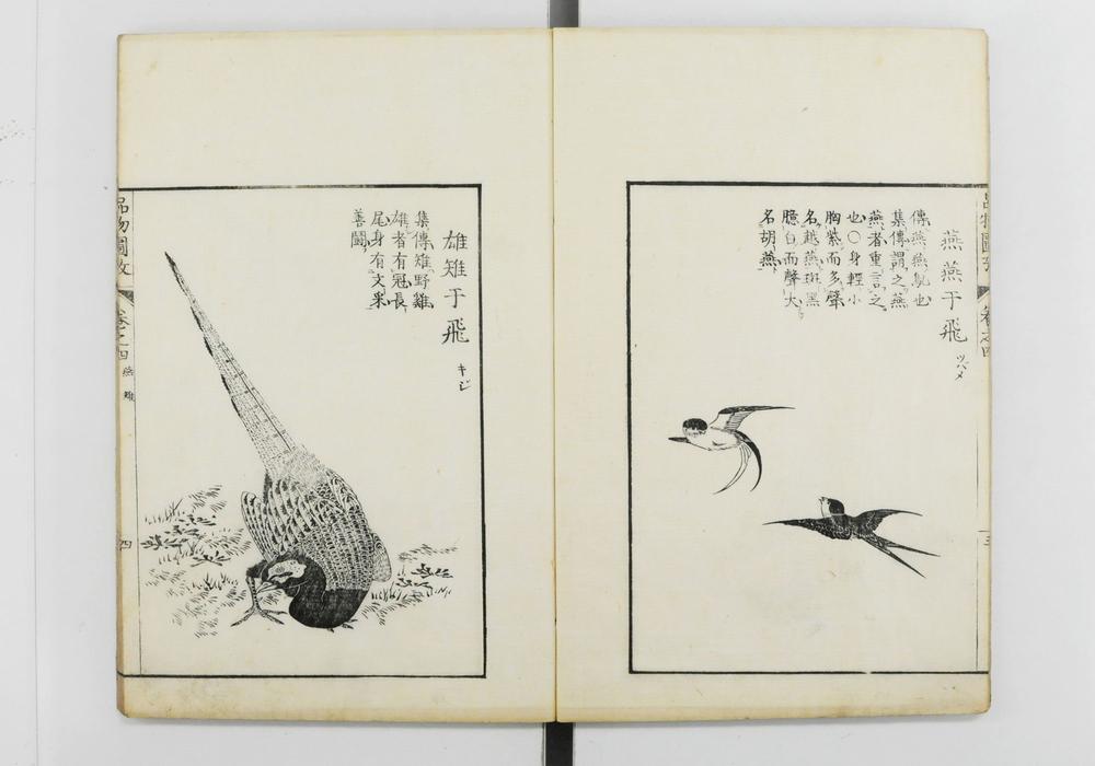 _毛诗品物图考__