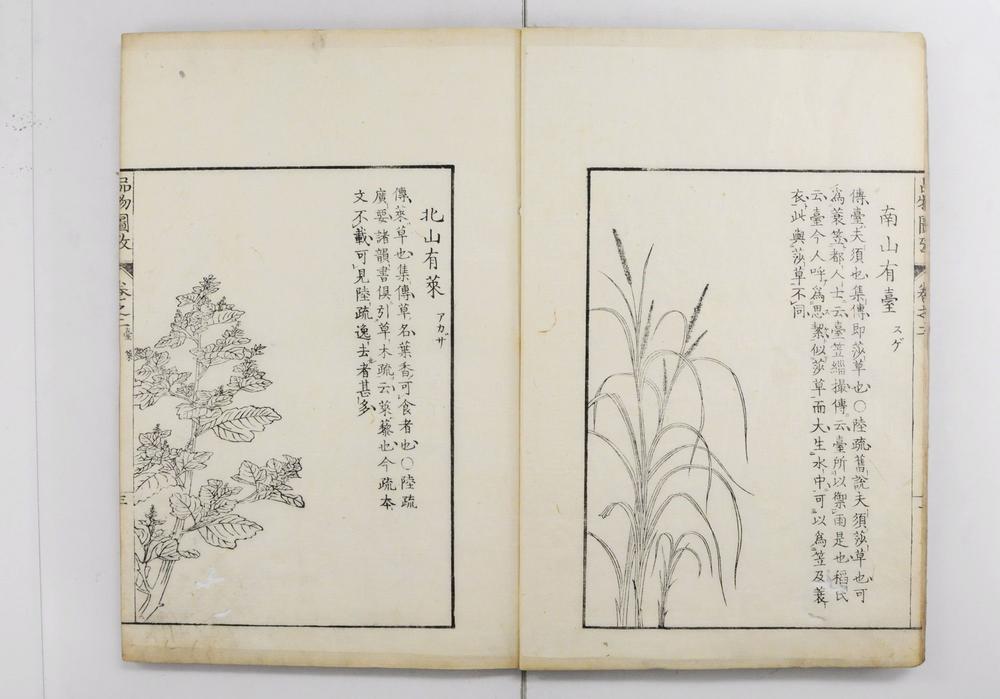 _毛诗品物图考__