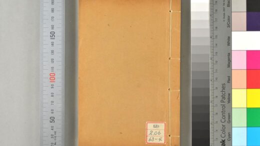 2091 沪游杂记 0621213116 1.jpg