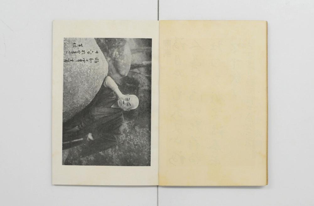 _三惜书屋诗稿__