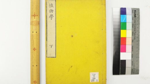 2292 植物学 0621213835 1.jpg