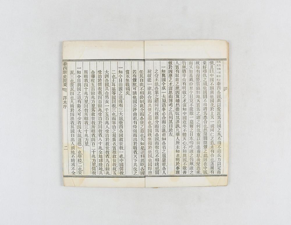 _泰西新史揽要__