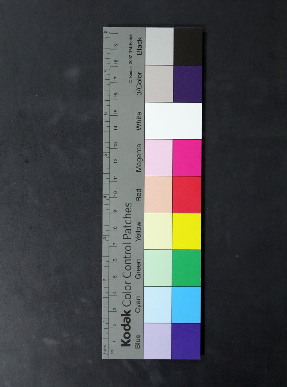 _上海方言的课程__