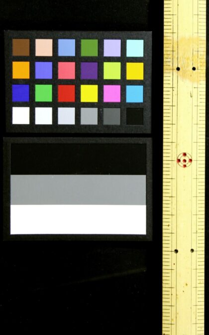 2475 王璞的模范语 0621214744 1.jpg