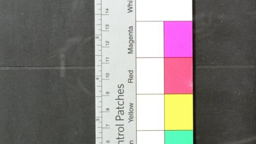 2477 荷兰语对中文的翻译 0621214752 1.jpg