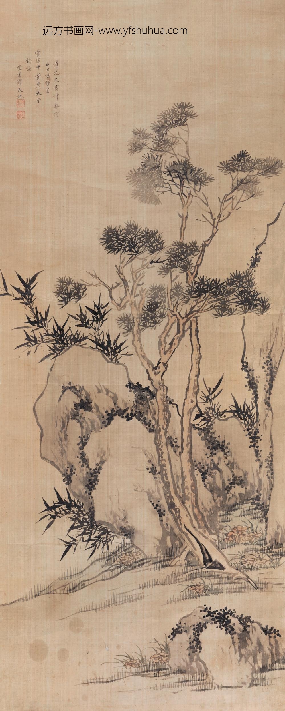 _清罗天池松树竹石图轴