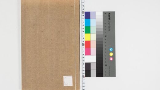 2521 六书正讹入 0621215016 1.jpg