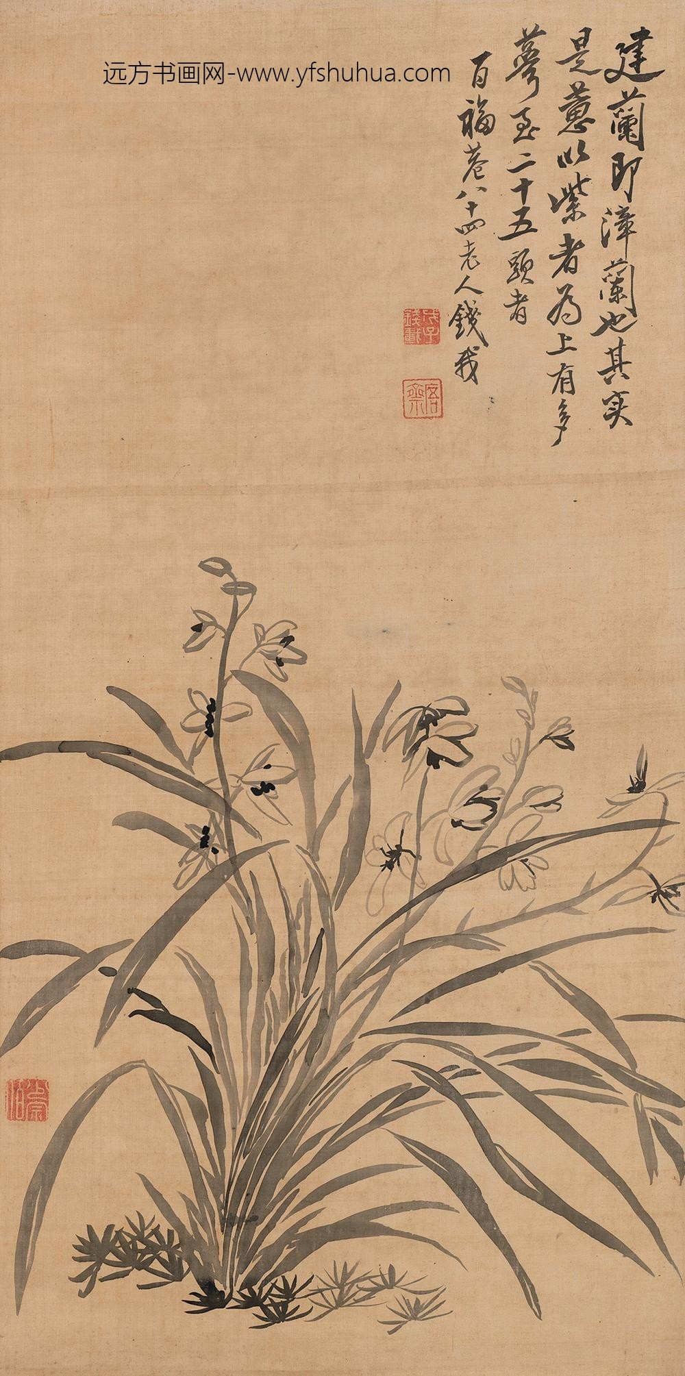 _清钱载兰花图轴