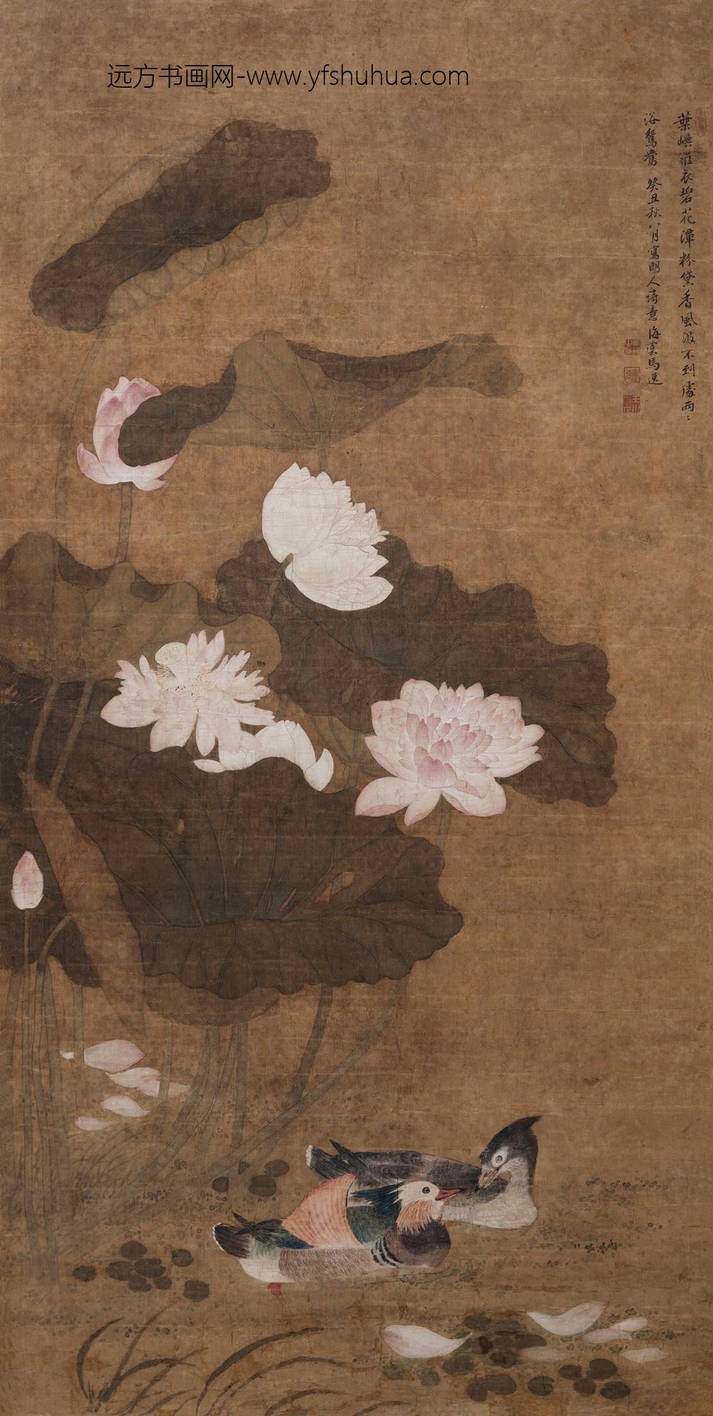 _清马逸荷花鸳鸯图轴