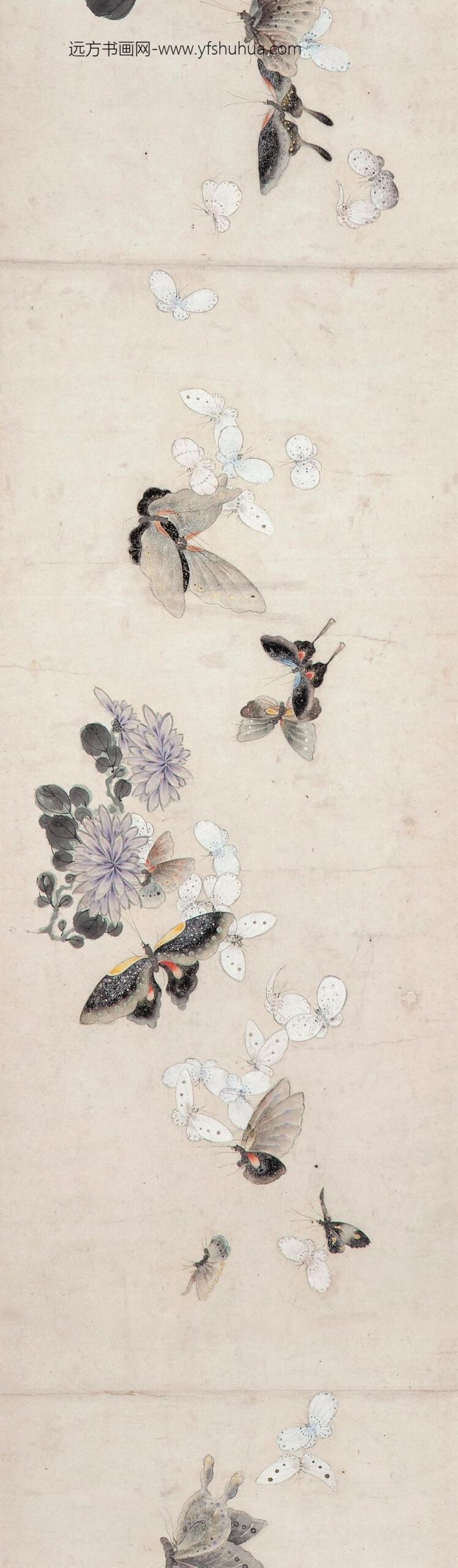 _金大可百蝶图卷_