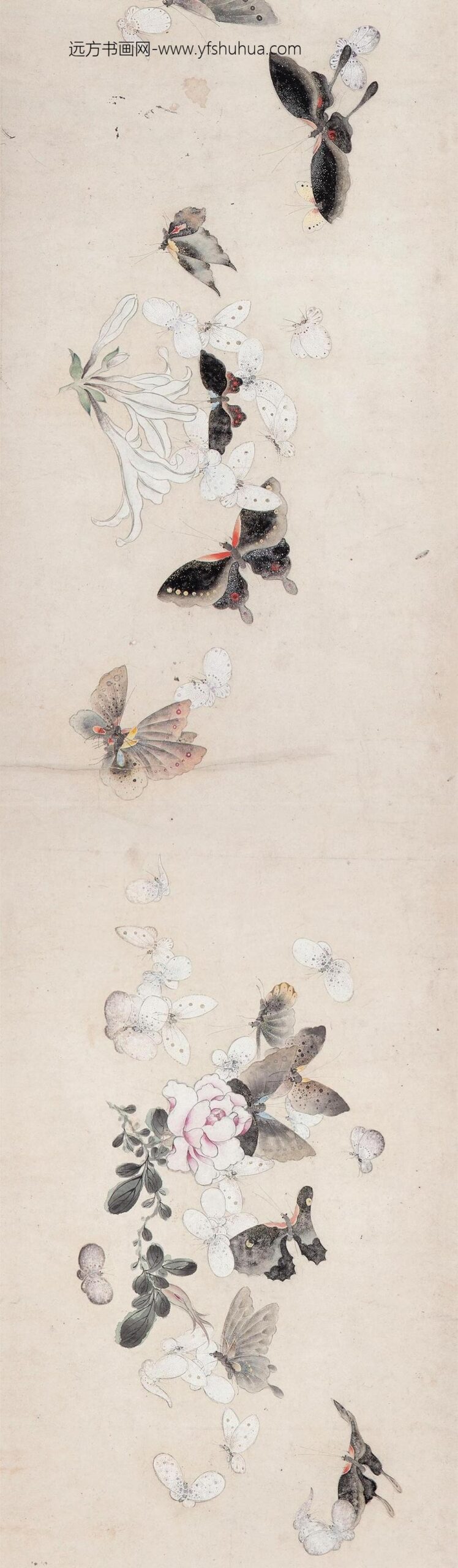 _金大可百蝶图卷_