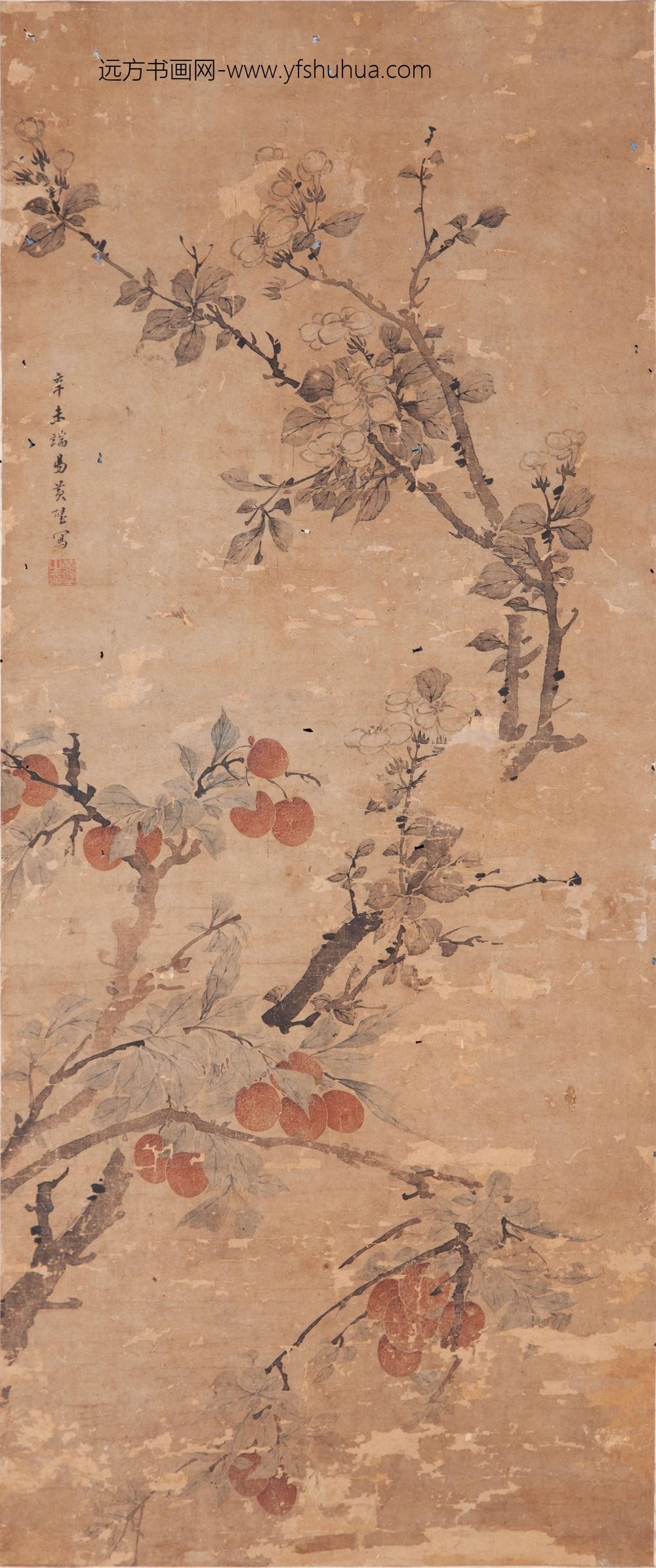 _清黄璧荔枝图轴