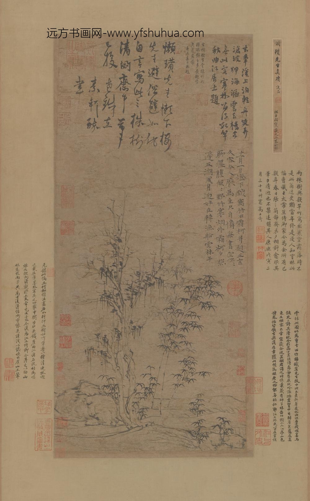 倪瓒_竹石霜柯图轴