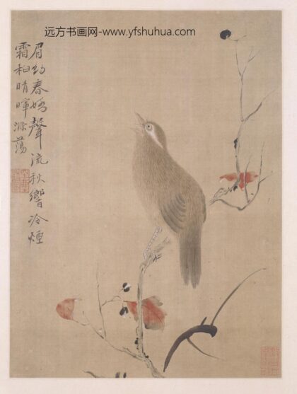 华喦（华岩 写生花鸟草虫册.jpg