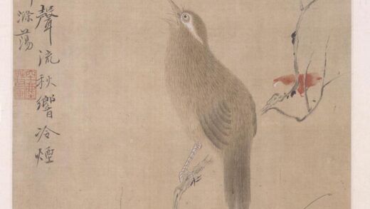 华喦（华岩 写生花鸟草虫册.jpg