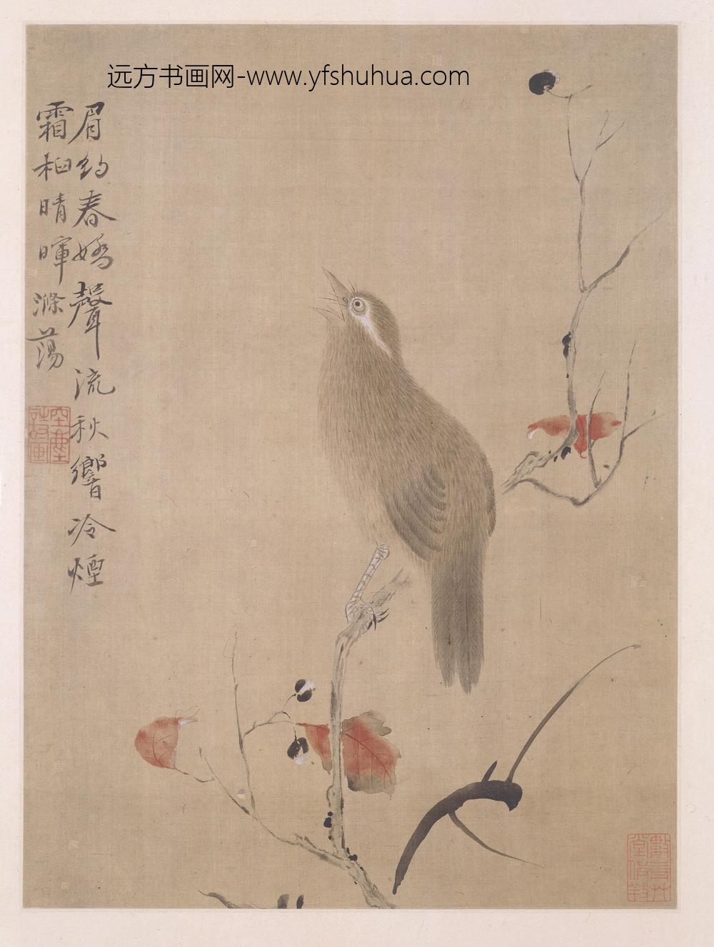 华喦（华岩)_写生花鸟草虫册