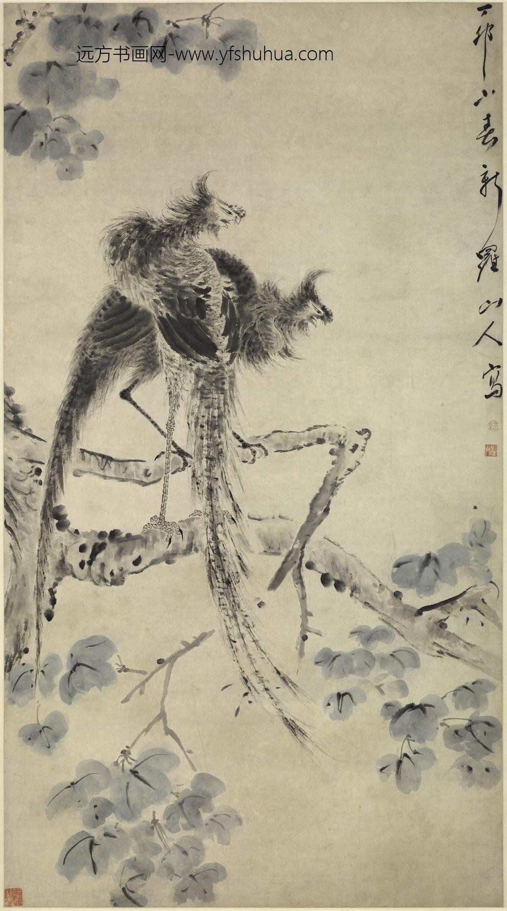 华喦（华岩)_凤凰梧桐图轴