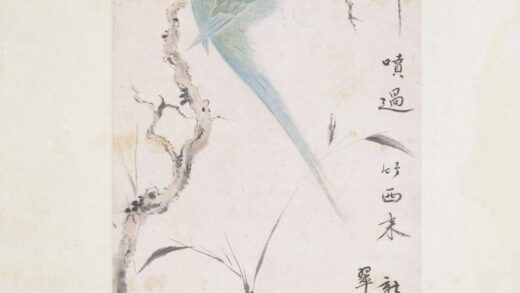 华喦（华岩 枝头鹦鹉图轴.jpg