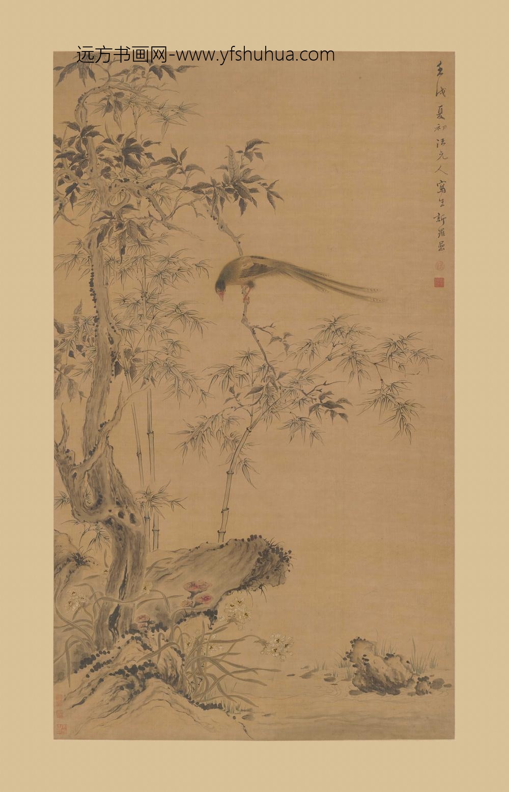 华喦（华岩)_桂树山雉图轴