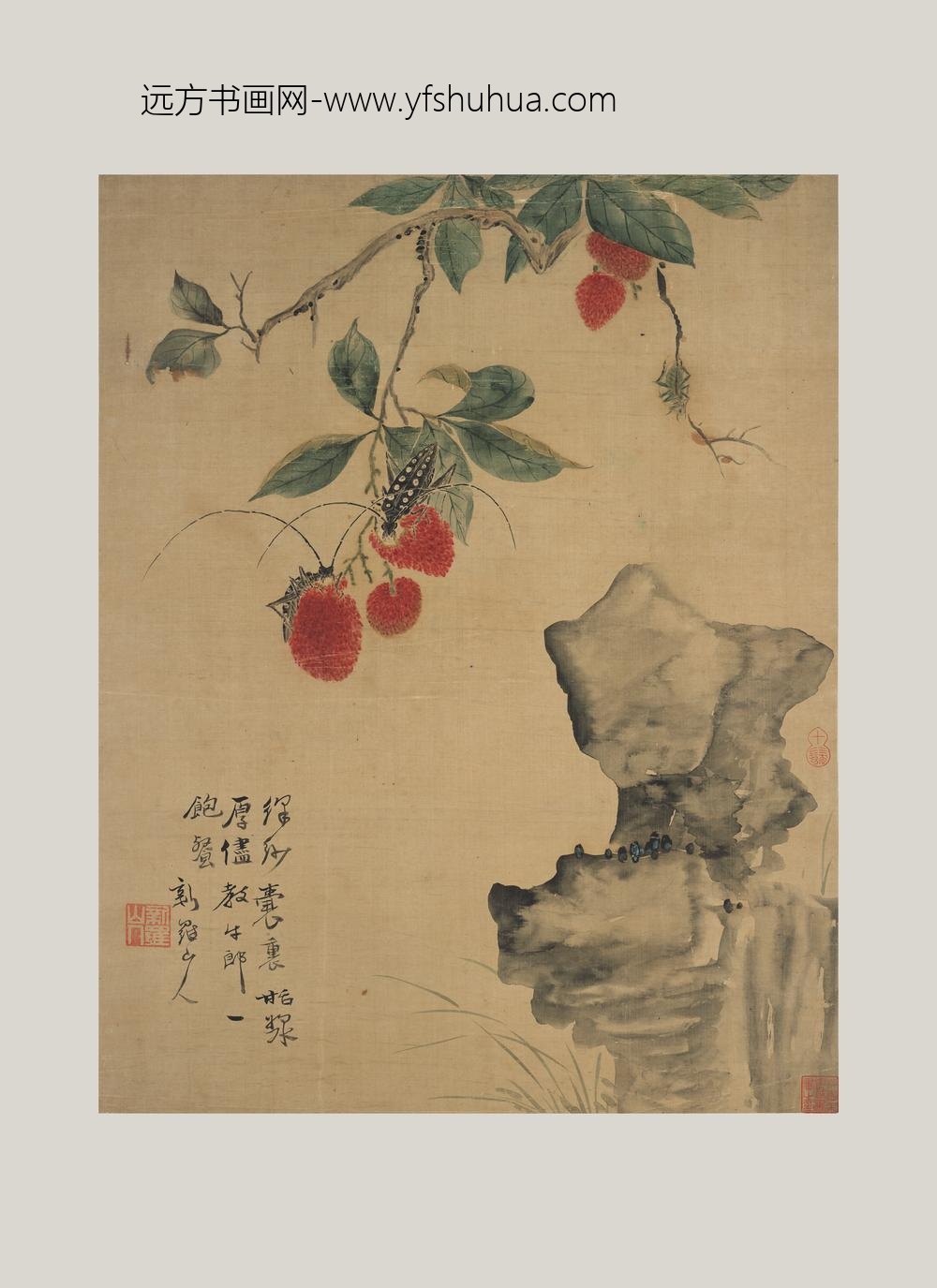 华喦（华岩)_荔枝牵牛图轴