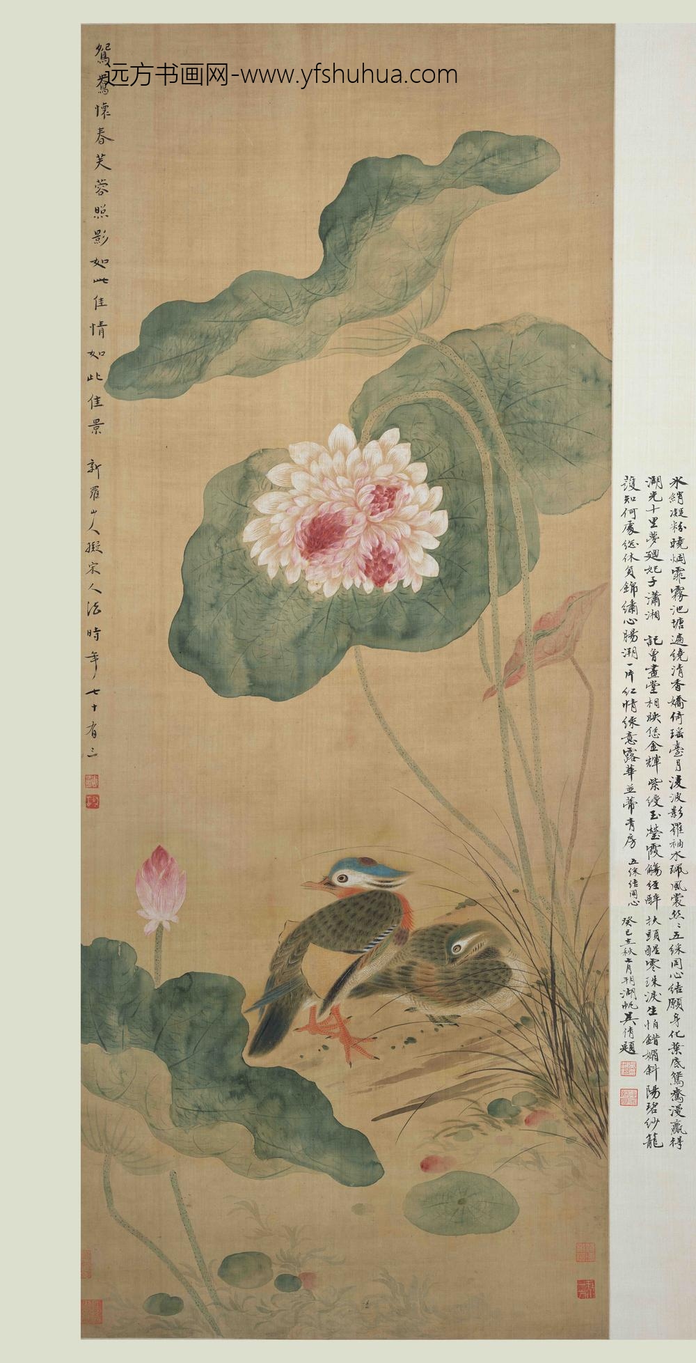 华喦（华岩)_荷花鸳鸯图轴