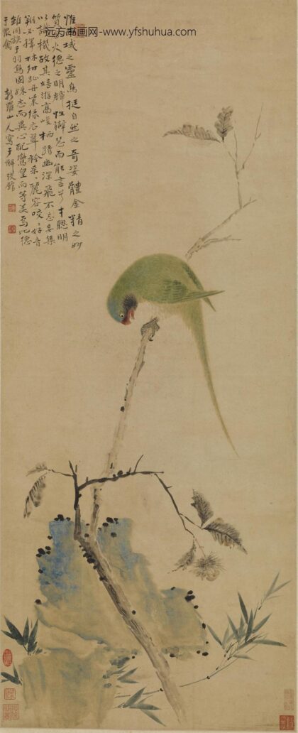 华喦（华岩 鹦鹉图轴.jpg