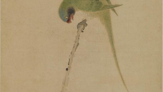 华喦（华岩 鹦鹉图轴.jpg