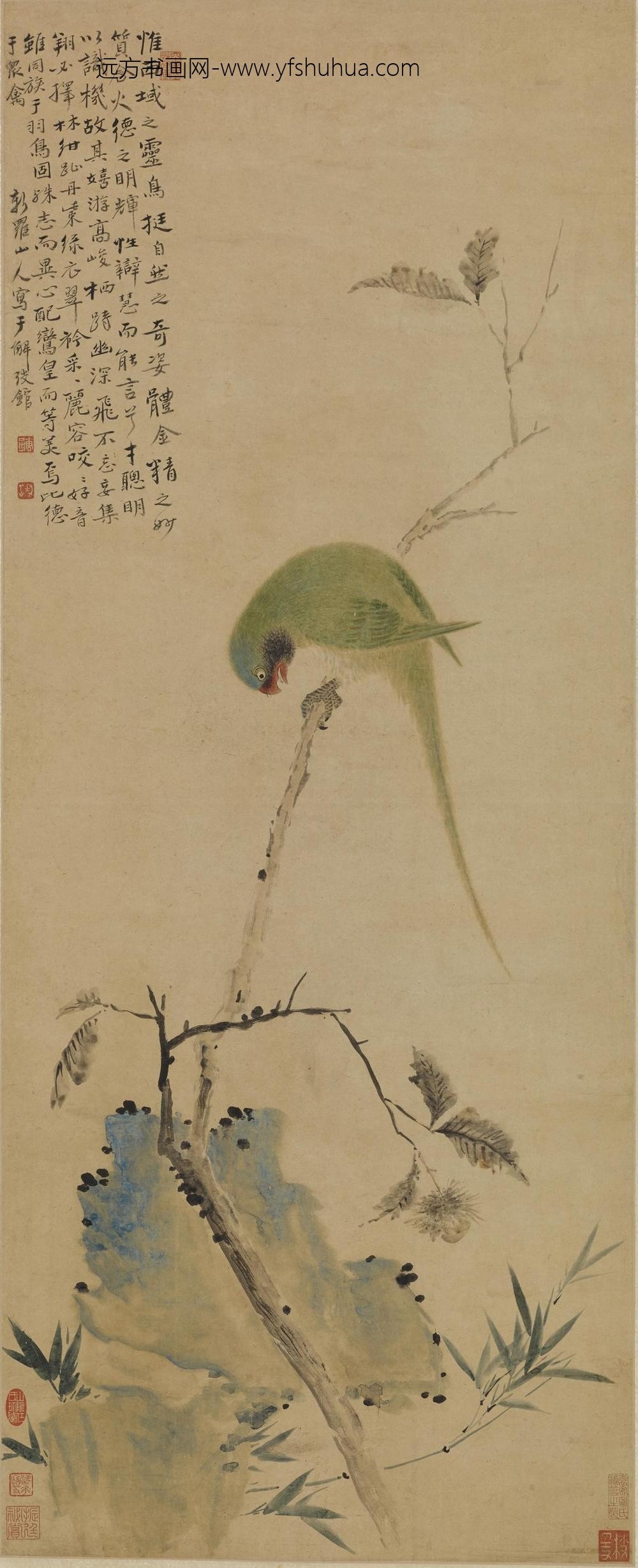 华喦（华岩)_鹦鹉图轴