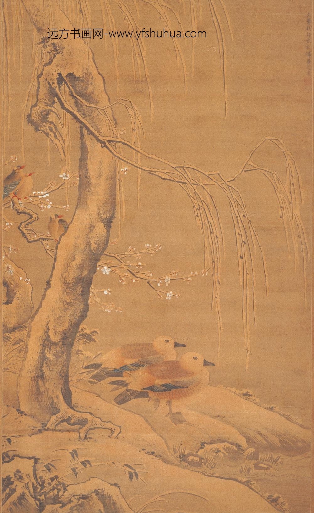 吕纪_雪柳双凫图轴