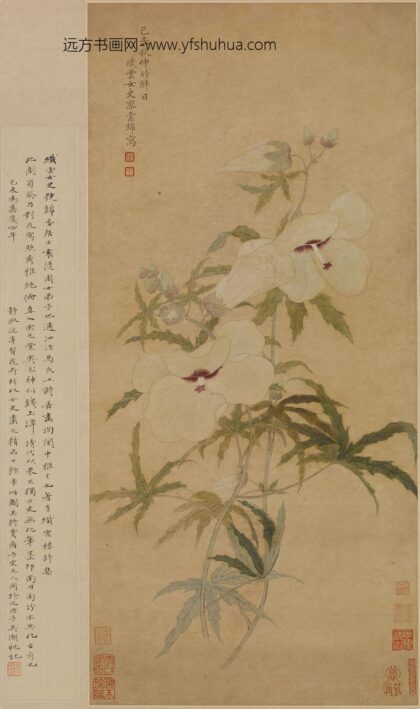 廖云锦 蜀葵图轴.jpg