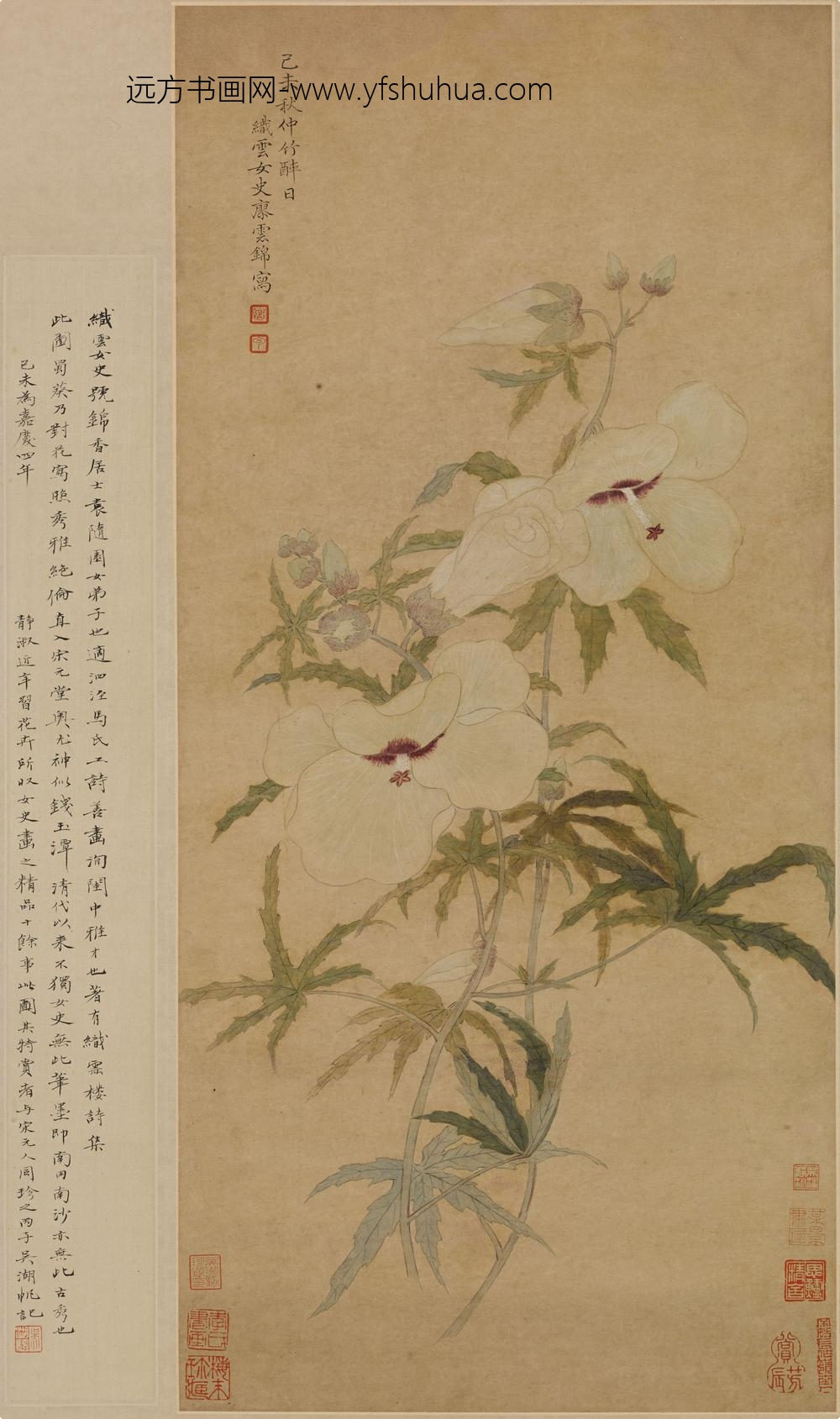 廖云锦_蜀葵图轴