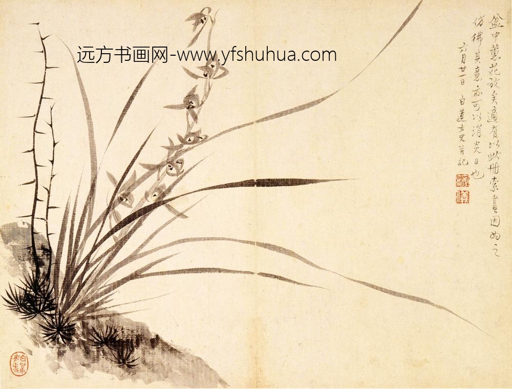 方婉仪_人物花卉册