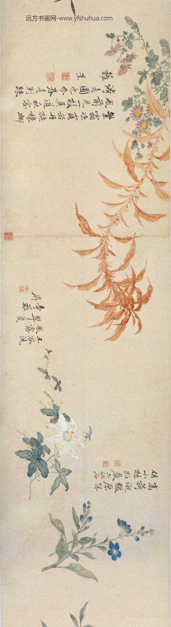 方薰_摹宋人设色花卉卷_