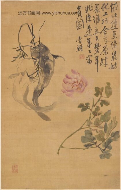 李鱓 牡丹双鱼图轴.jpg