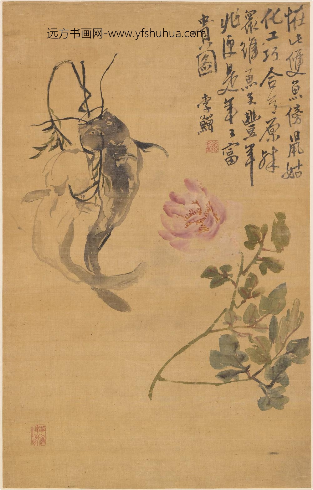 李鱓_牡丹双鱼图轴