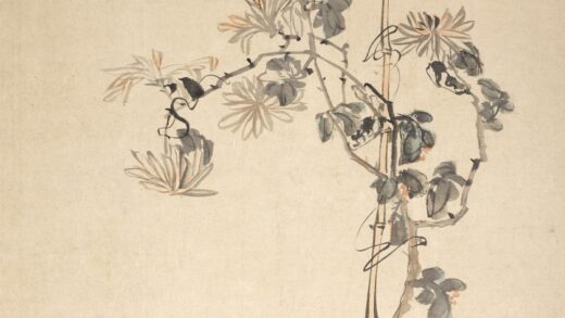 李鱓 盆菊图轴.jpg