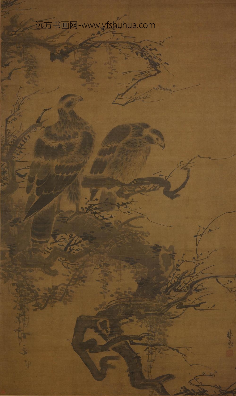 林良_双鹰图轴