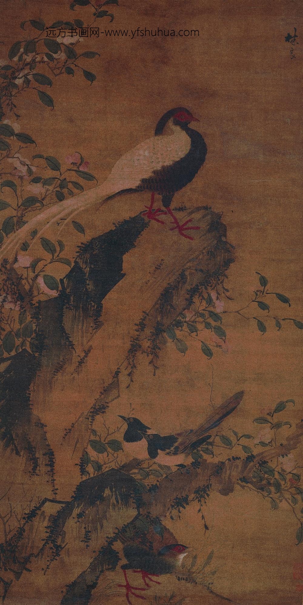 林良_山茶白羽图轴